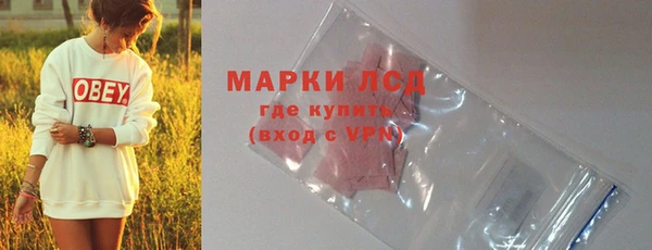 твердый Чекалин