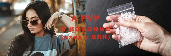 крисы Чегем