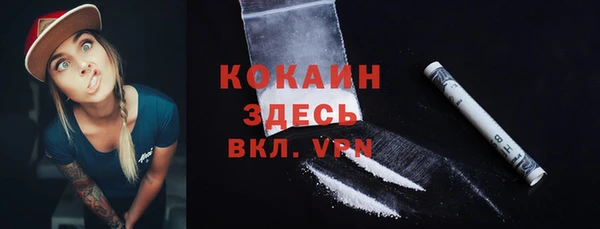 твердый Чекалин