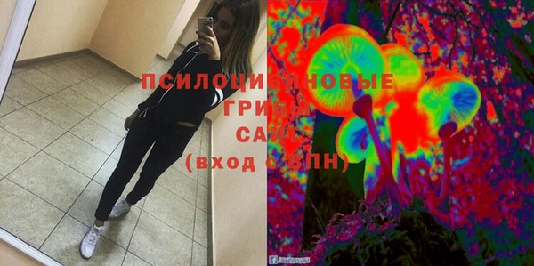 твердый Чекалин